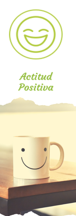 pilar 3 actitud positiva vsb